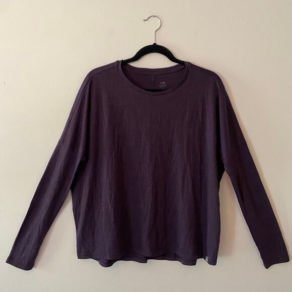 icebreaker Women's size Small Purple Merino Wool Long Sleeve Crewneck Shirt - Picture 1 of 11
